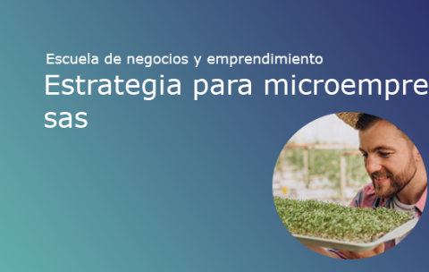 estrategia_microempresas